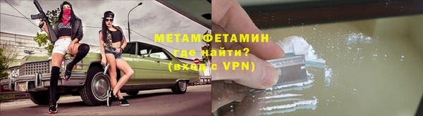 прущие грибы Магас