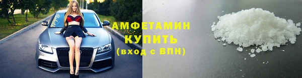 прущие грибы Магас