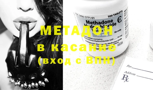 прущие грибы Магас