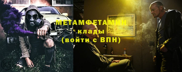 прущие грибы Магас