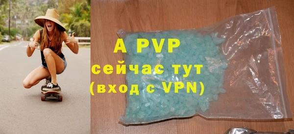 прущие грибы Магас