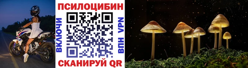 Псилоцибиновые грибы MAGIC MUSHROOMS  Купить где  Новоалтайск 