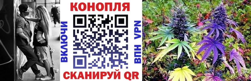 Купить  Новоалтайск  Бошки Шишки гибрид 